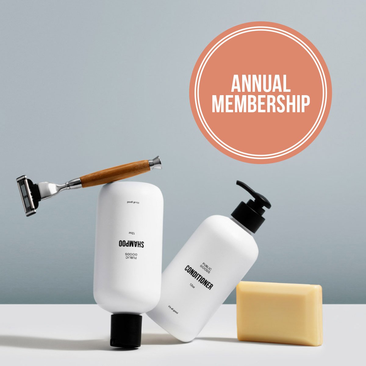 Public Goods Product Set Lifetime Membership